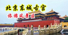 免费播放看爆肏各种动物阴道视频中国北京-东城古宫旅游风景区